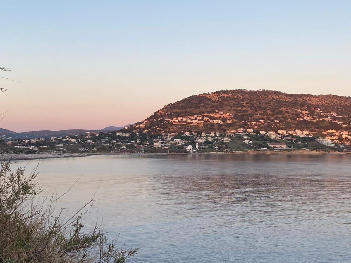 Seascape Luxury Villas Agia Marina  Bagian luar foto